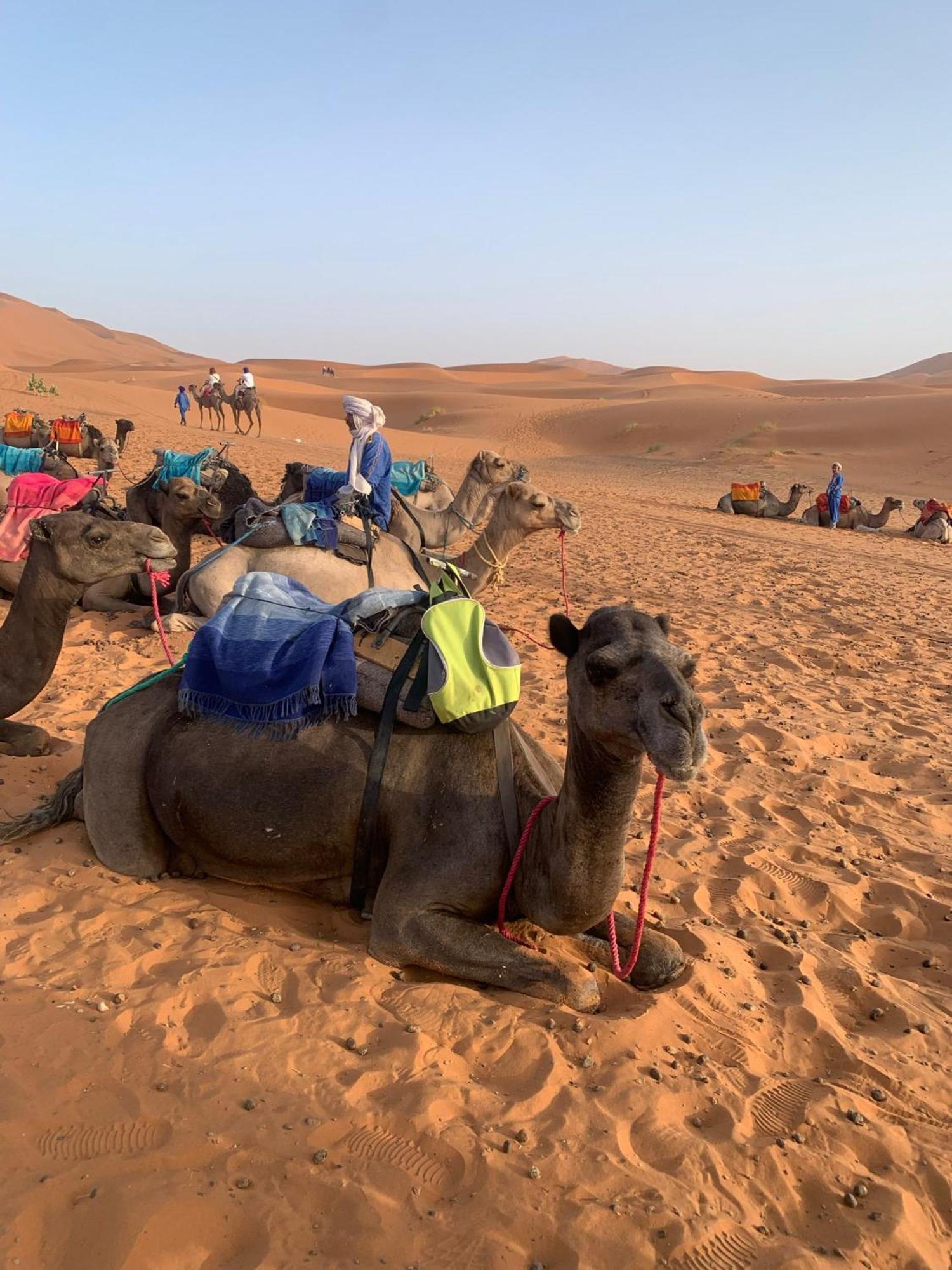 Hotel Dar Salwa Ait Benhaddou Exteriér fotografie